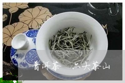 普洱茶 六大茶山/2023031754937